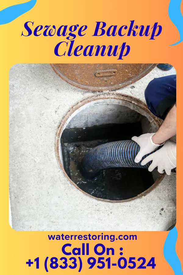 Sewage Backup Cleanup in La Fontaine, IN