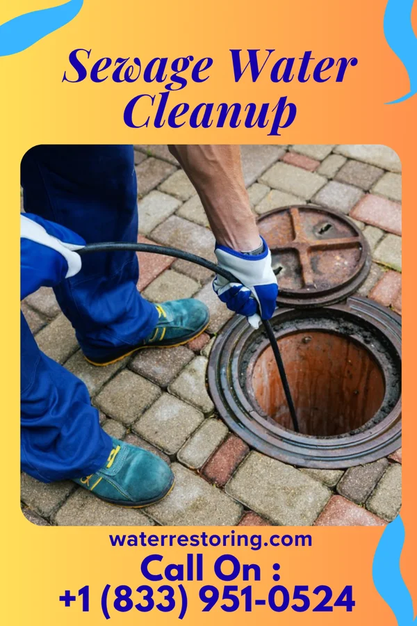 Sewage Water Cleanup in La Fontaine, IN